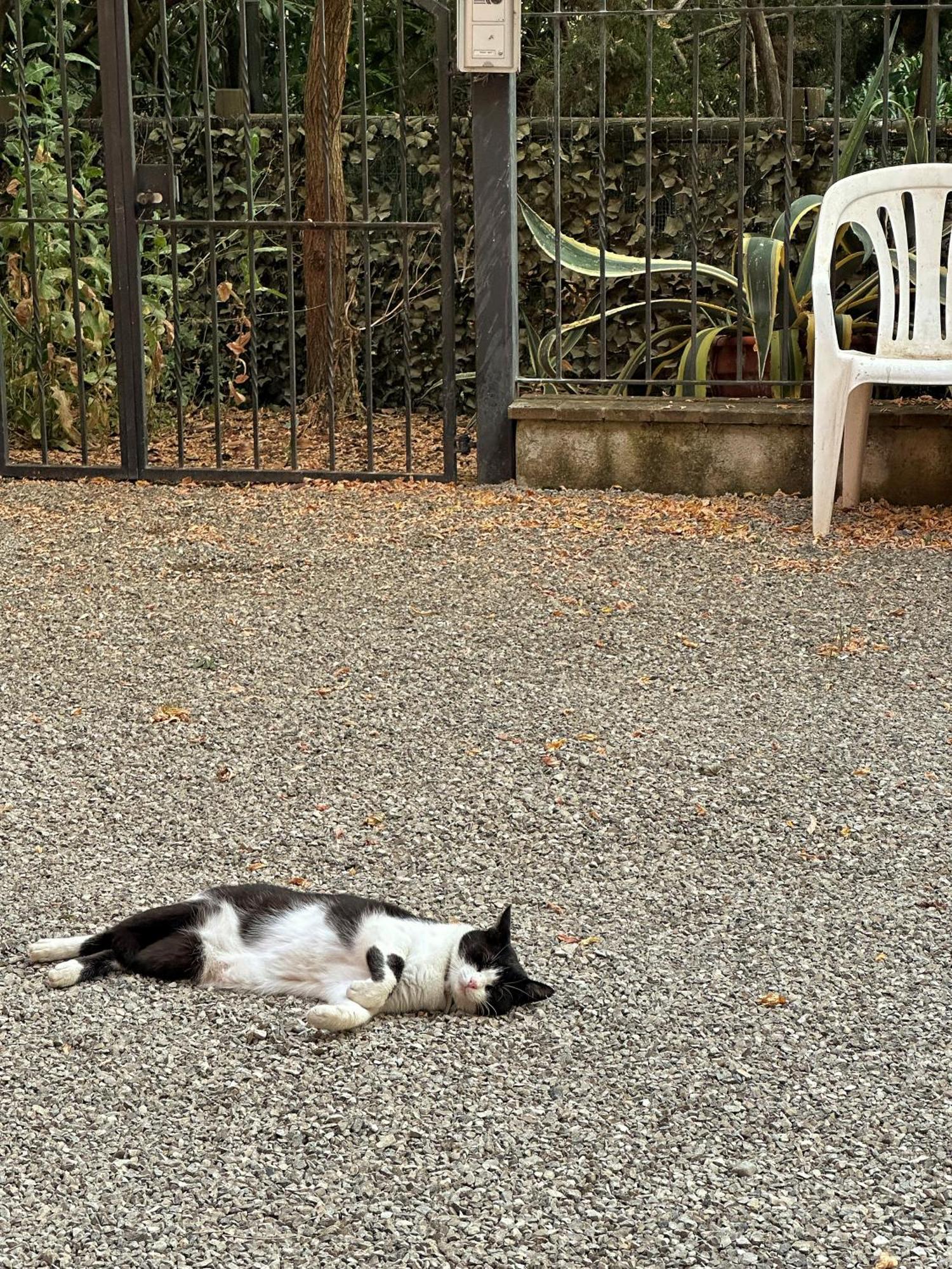 Casa Serena - Appartamento A サン・ジミニャーノ エクステリア 写真